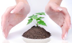 Fusce susct varius mi